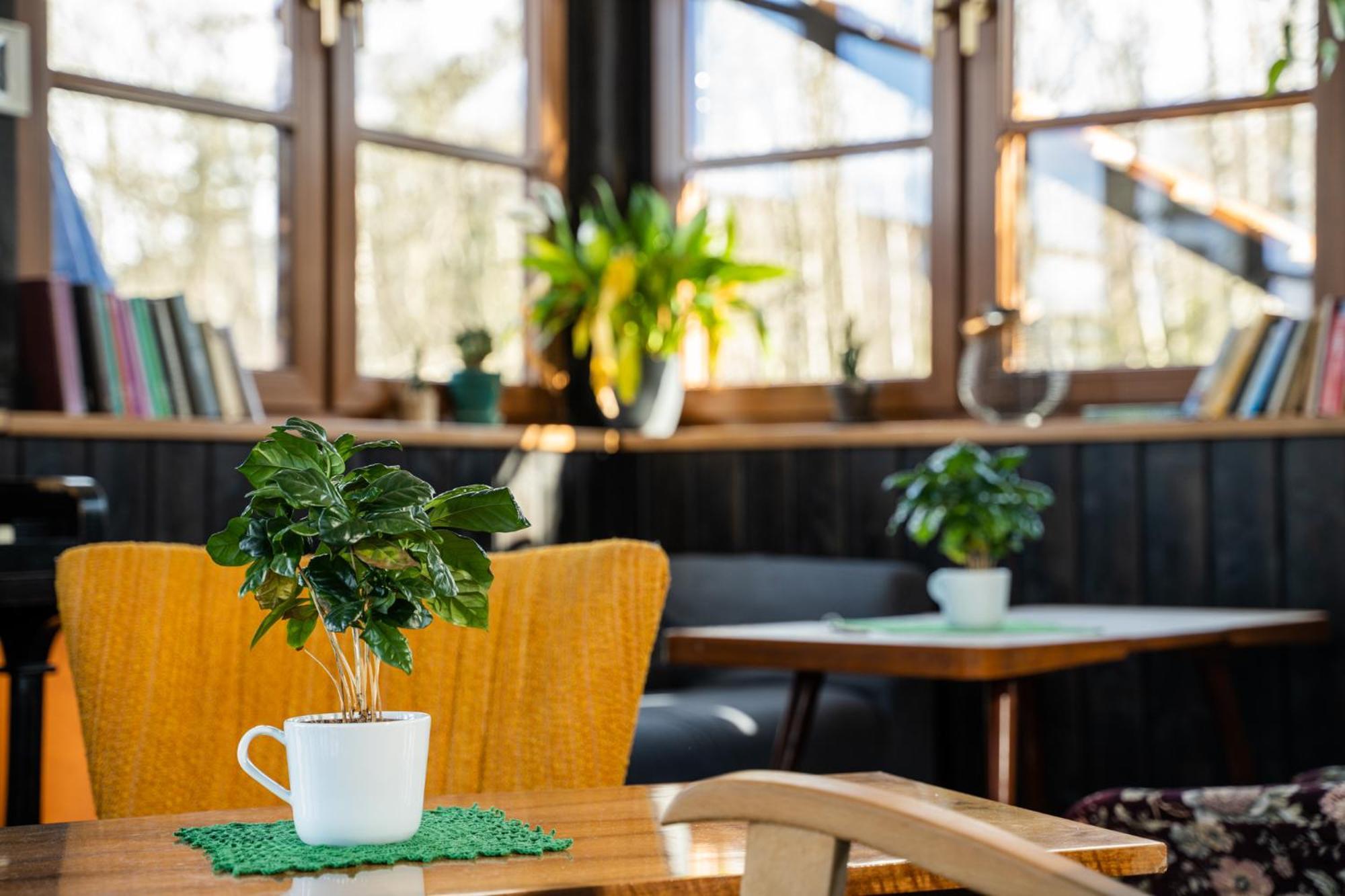 Owca Z Widokiem Hotel Spalona Kültér fotó